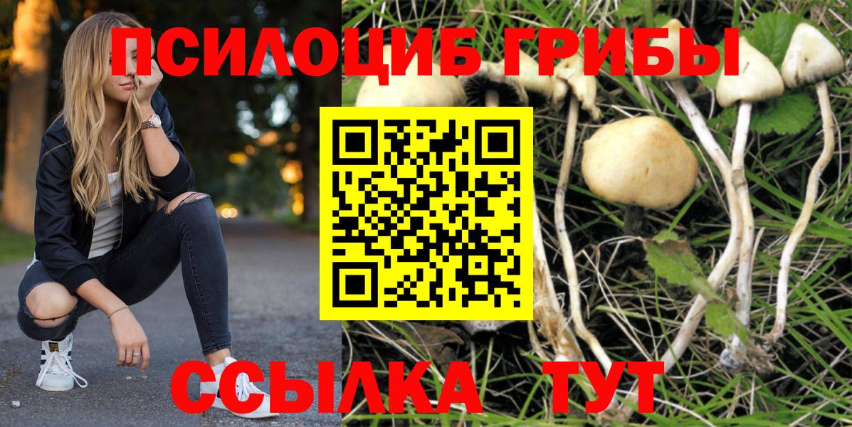 Королёв  Галлюциногенные грибы MAGIC MUSHROOMS  Вход с VPN  Галлюциногенные грибы прущие грибы 
