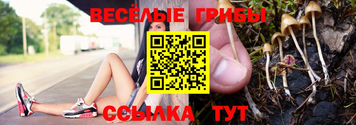 Псилоцибиновые грибы Cubensis Королёв